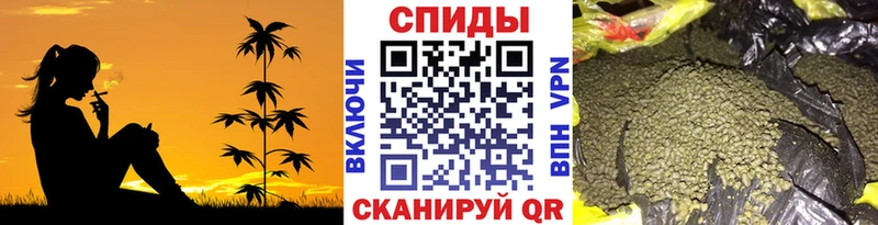 ОМГ ОМГ tor  Куртамыш  БУТИРАТ буратино 