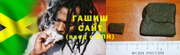 хмурый Бикин