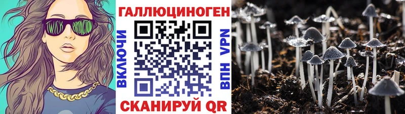 блэк спрут сайт Куртамыш Галлюциногенные грибы Magic Shrooms